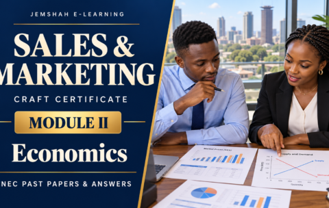Sales and Marketing Craft Certificate Module II: Economics revision, with Kenyan business trainees reviewing market information.
