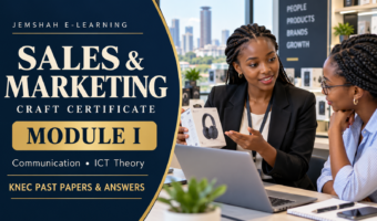 Sales and Marketing Craft Certificate Module I: Communication and ICT Theory revision, with Kenyan sales trainees using a laptop.