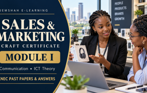 Sales and Marketing Craft Certificate Module I: Communication and ICT Theory revision, with Kenyan sales trainees using a laptop.