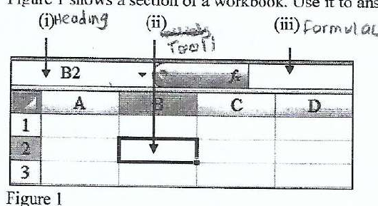 Workbook diagram with Name Box at (i), selected cell at (ii) and Formula Bar at (iii)